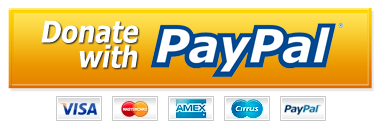 PayPal-Donate-Button-PNG-HD